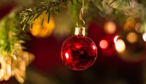 Un albero di Natale (Pixabay)