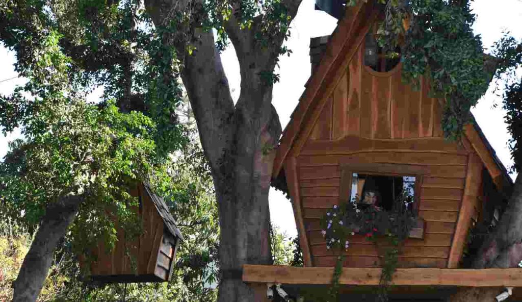 Case sull'albero