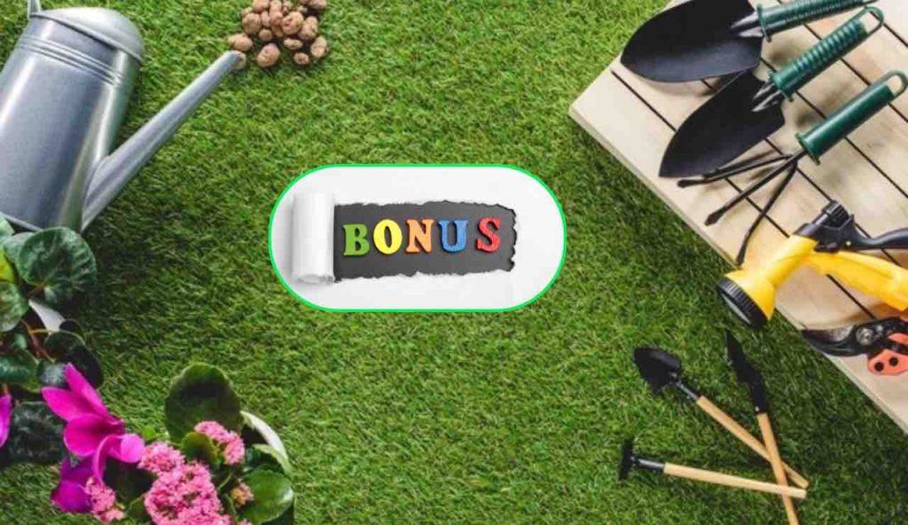 Bonus Verde