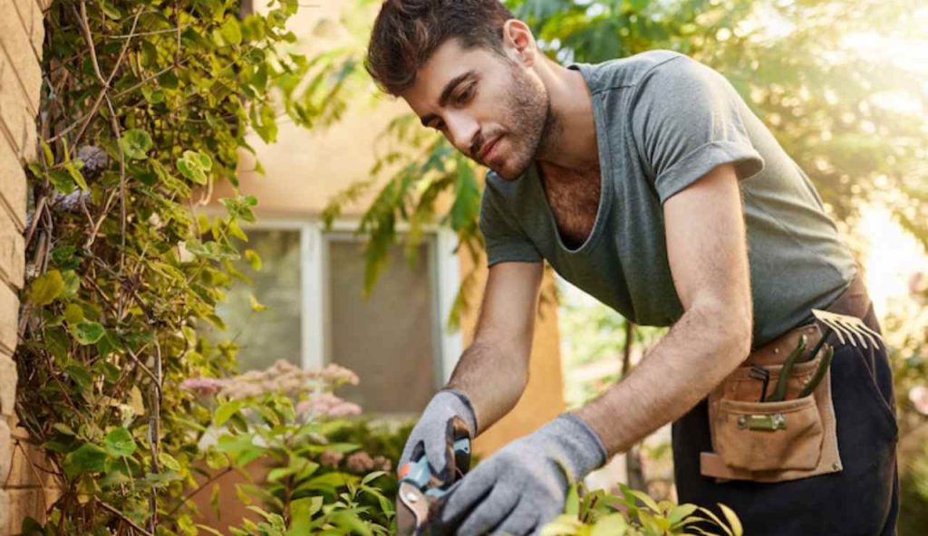 Uomo coltiva il giardino
