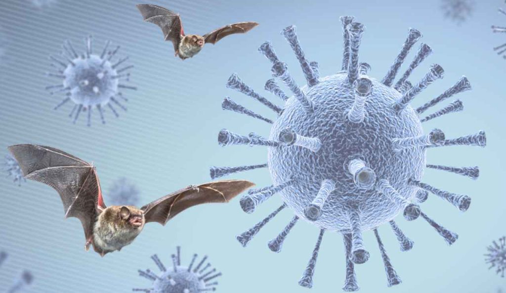 Illustrazione di un virus e di due pipistrelli (Canva FOTO9 - buildingcue.it
