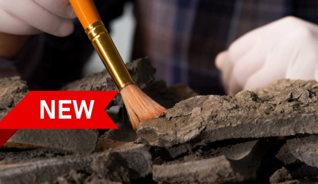 Illustrazione di una nuova scoperta archeologica (Canva FOTO) - buildingcue.it