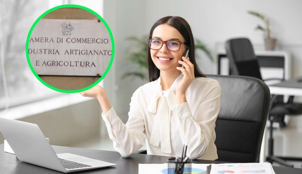 Lavoro camera commercio
