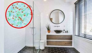Batteri in bagno