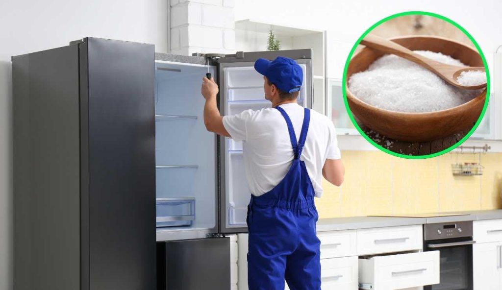 Frigo e sale