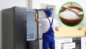 Frigo e sale