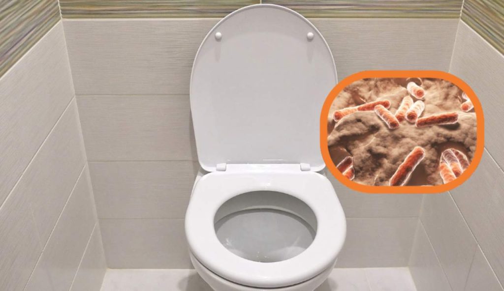Illustrazione di un WC apparentemente pulito (Canva FOTO) buildingcue.it