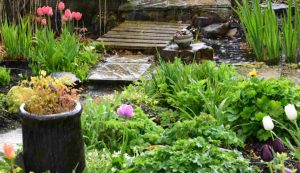 Illustrazione di un giardino resiliente (Canva FOTO) - buildingcue.it