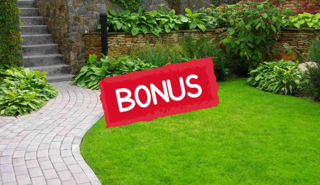 Bonus verde
