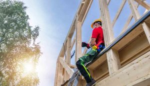 Illustrazione di legno super resistente (Canva FOTO) - buildingcue.it