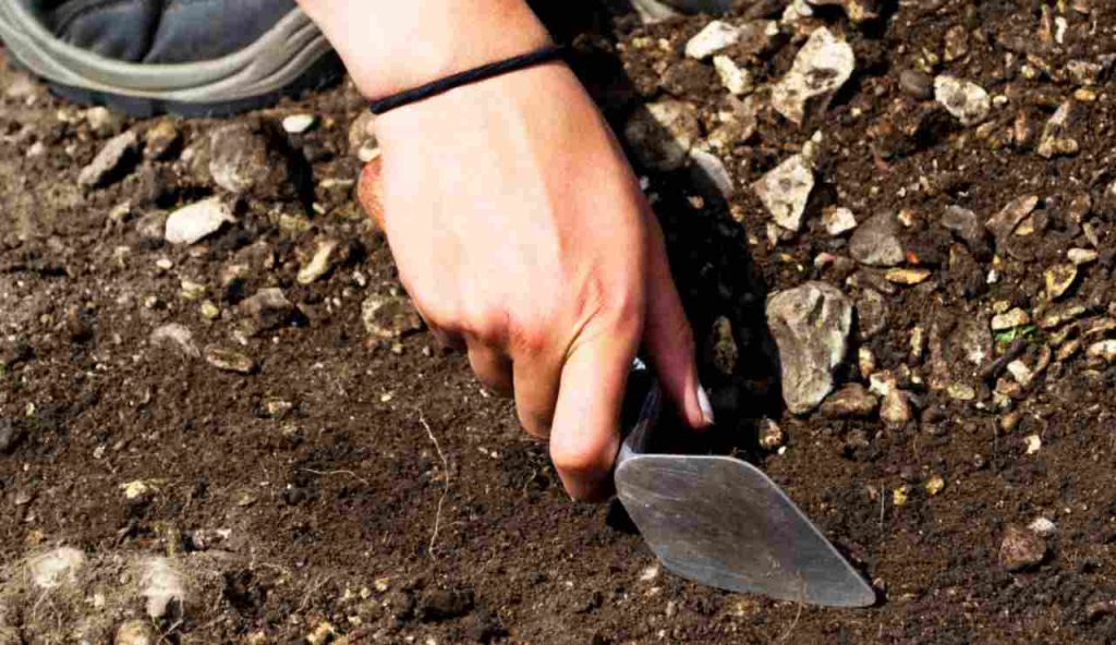 Illustrazione di una scoperta archeologica (Canva FOTO) - buildingcue.it