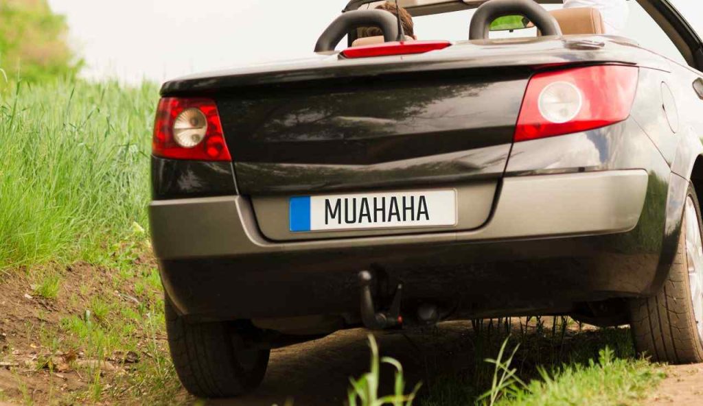 Auto targa