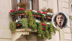 Balcone fiorito (Pixabay foto) - www.buildingcue.it