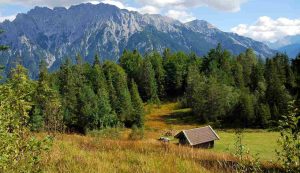Zone montane