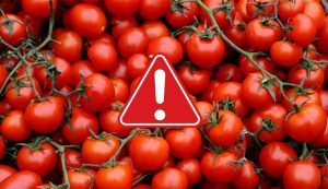 Allarme pomodori