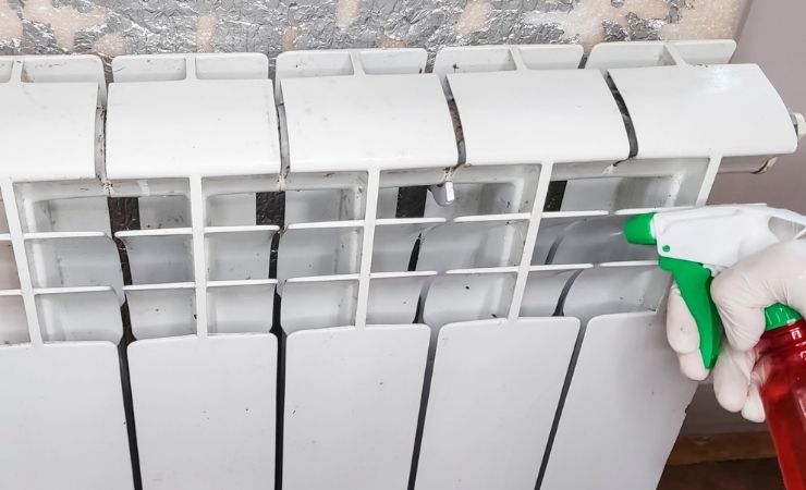 Manutenzione termosifoni pulizia