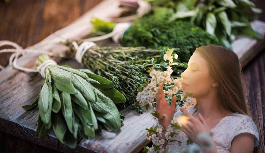 Come conservarle al meglio