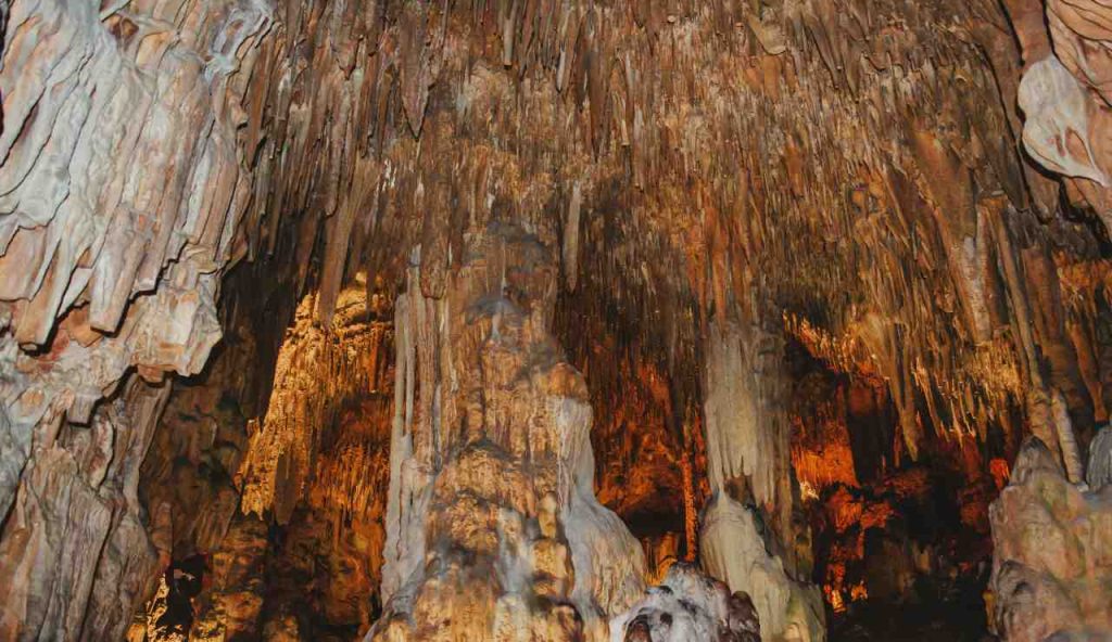 Dalle caverne venezuelane alle rocce marziane: un nuovo paradigma per lo studio di ambienti estremi