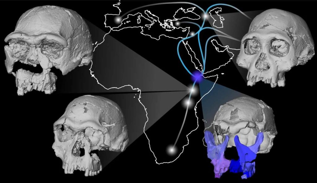 Ricostruito il volto di un Homo erectus di 1,5 milioni di anni