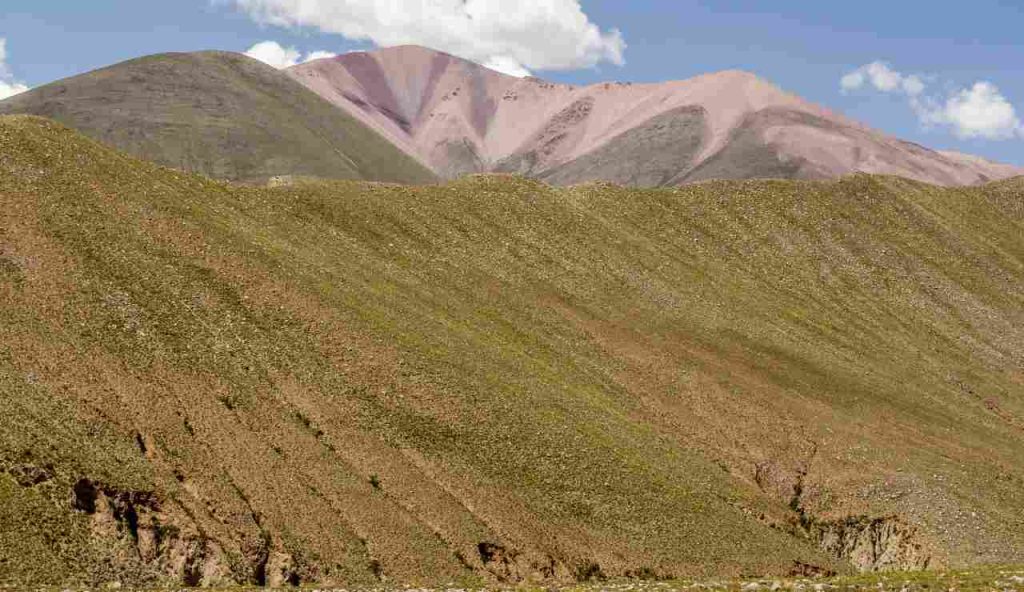 Ossa, DNA e mais: l’archeogenetica ricostruisce 2.000 anni di storia andina